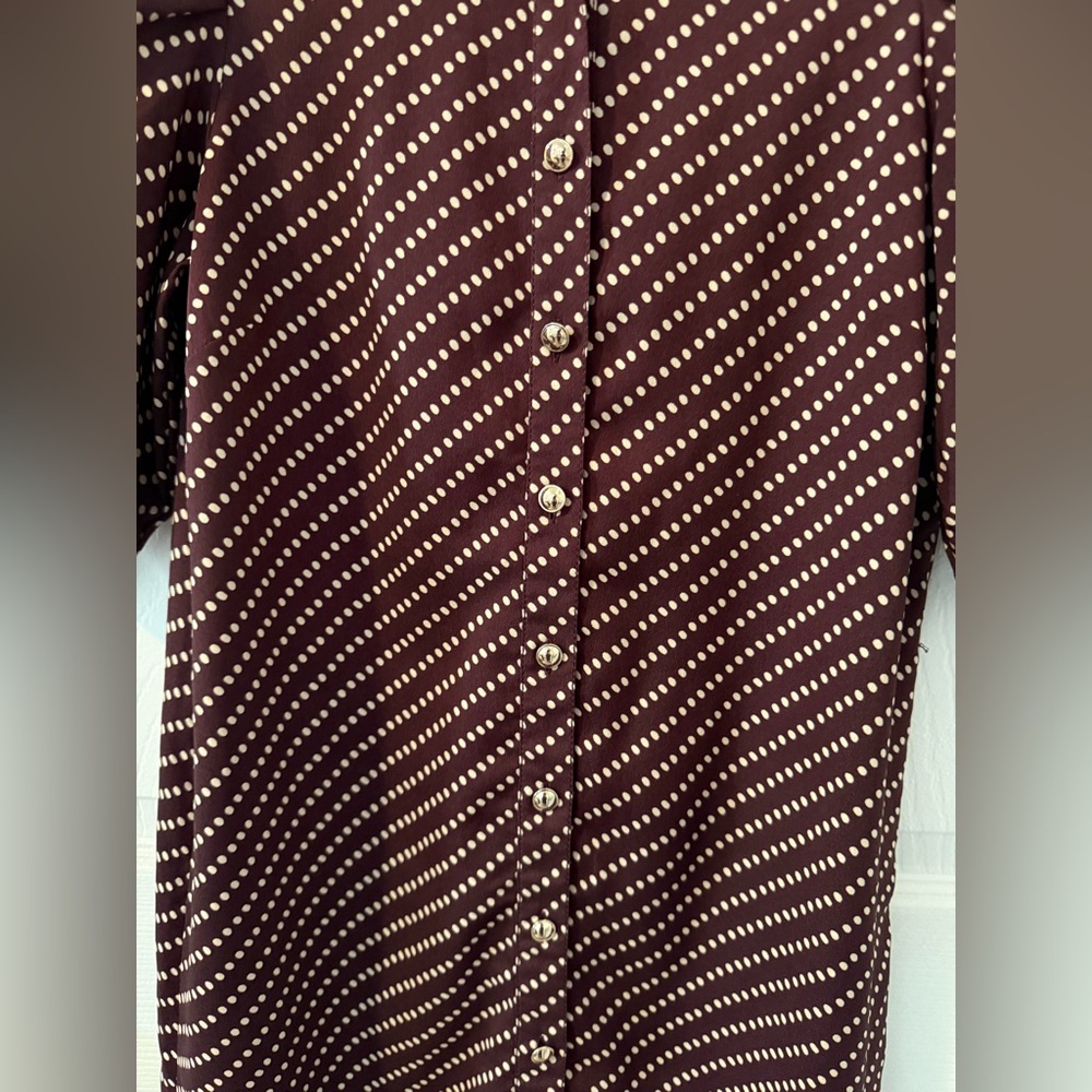 Ann Taylor Button Up Polka Dot Dress - Picture 7 of 13
